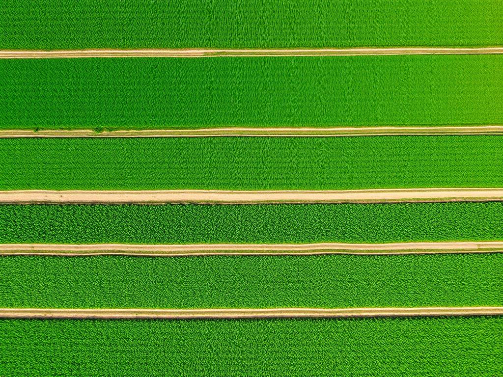 Direct farm sourcing